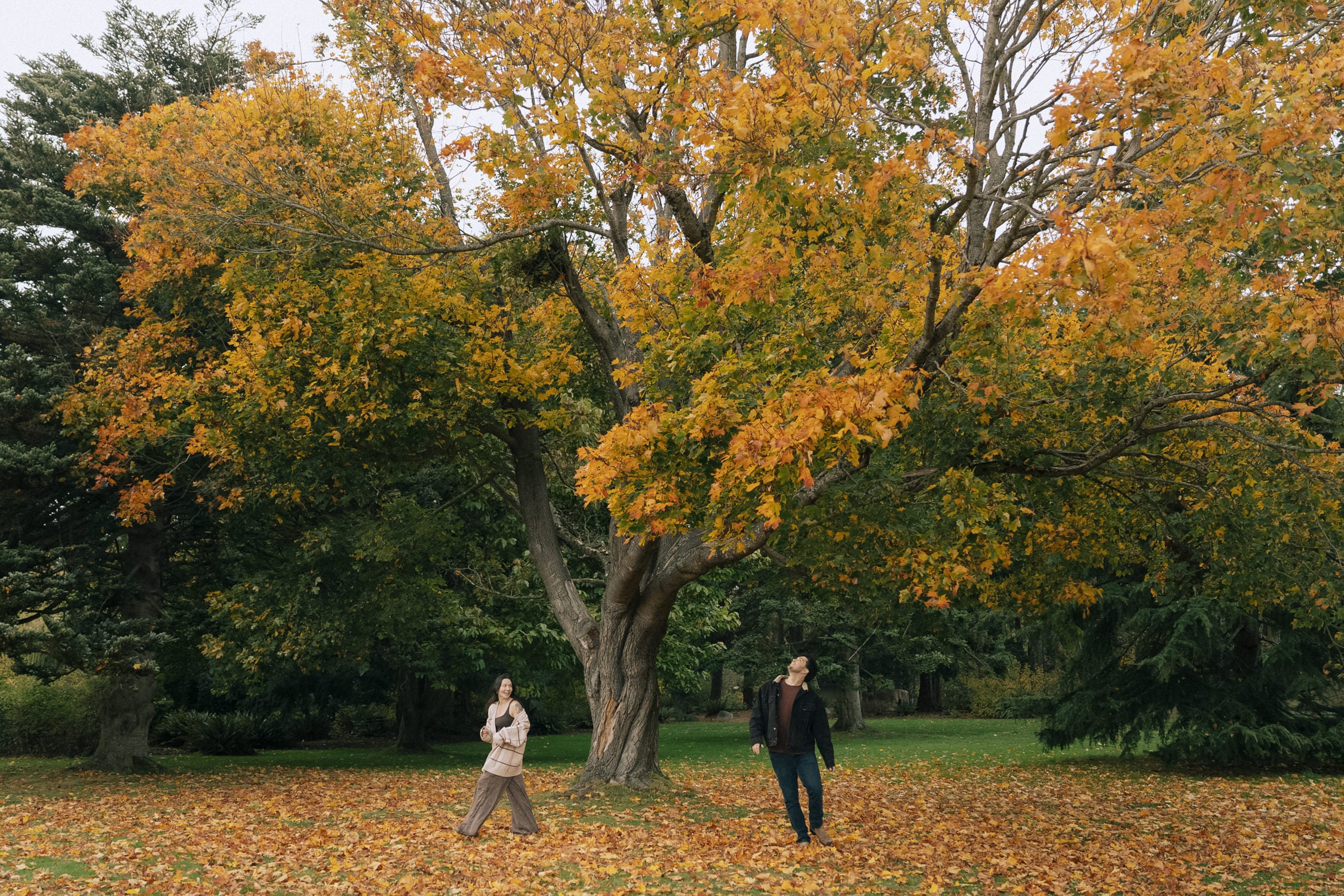 Callisto Presets after Lightroom preset edit