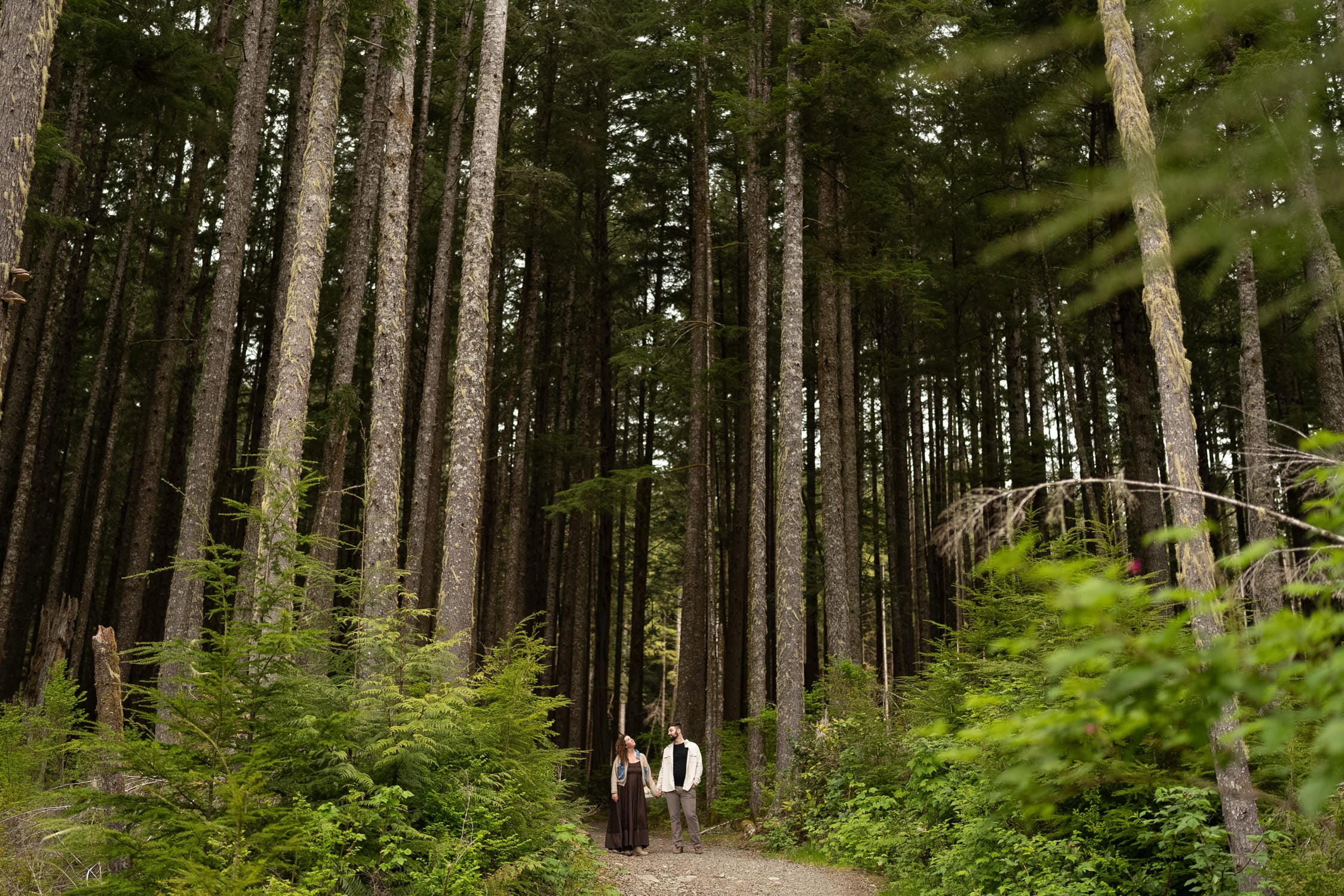 Callisto Presets before Lightroom preset edit