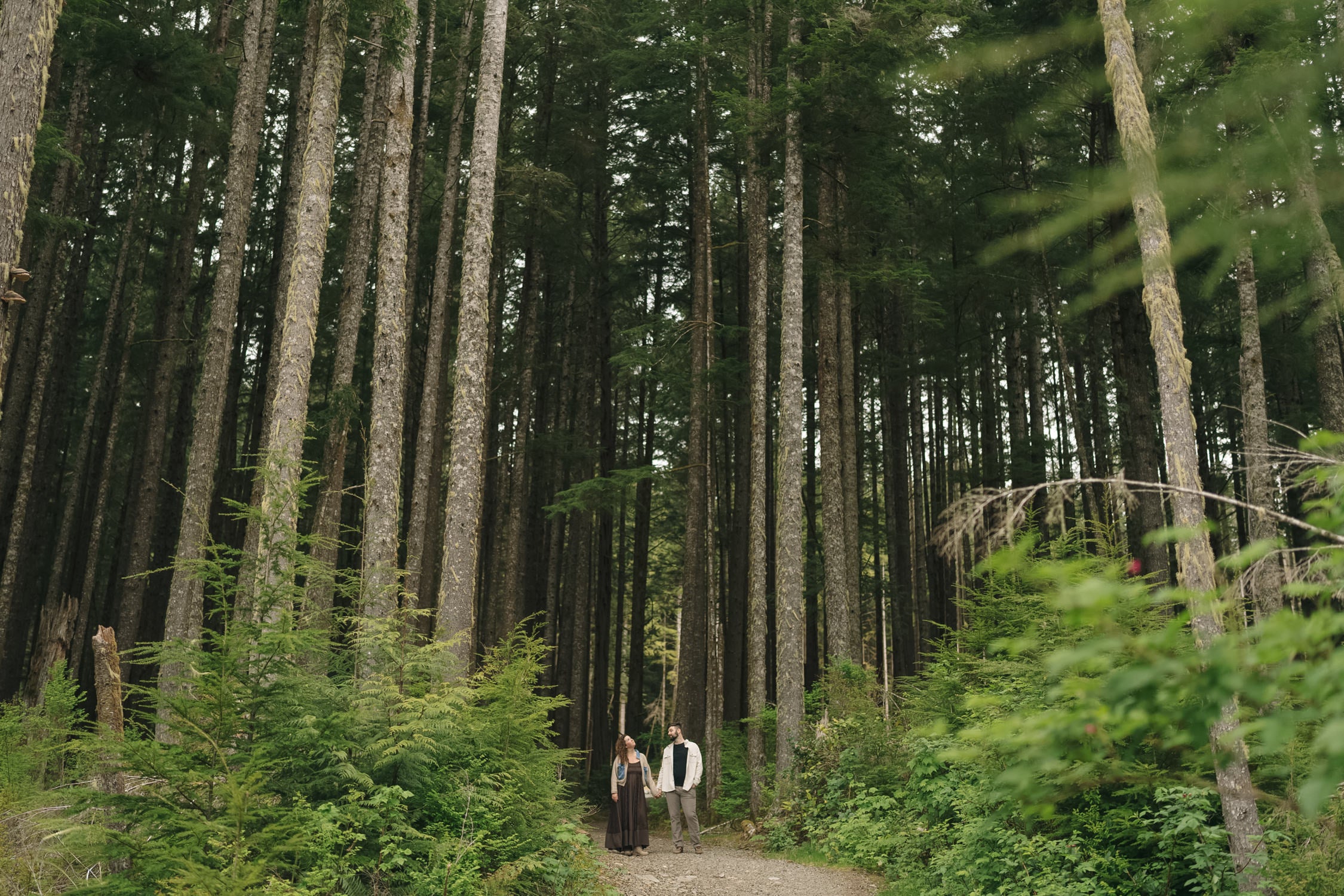 Callisto Presets after Lightroom preset edit