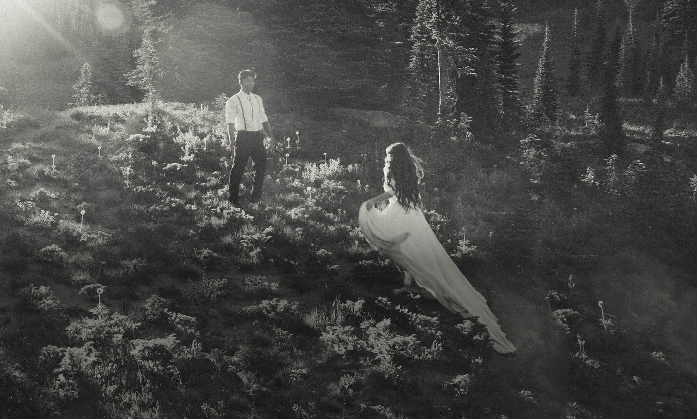 Bride and groom in a sunlit mountain meadow